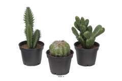 Cactées plantes artificielles lot de 3 Cactus factices H 8-13 cm