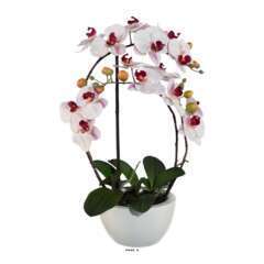 Orchidée artificielle, coupe céramique H 60 cm touché réel Rose-crème