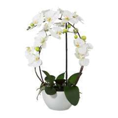 Orchidée artificielle, coupe céramique H 60 cm touché réel Crème