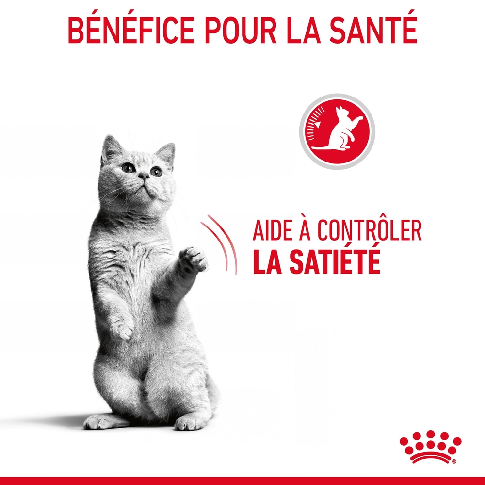 Croquettes chat quemandeur Appetite Control Sterilised 10kg Royal Canin Truffaut