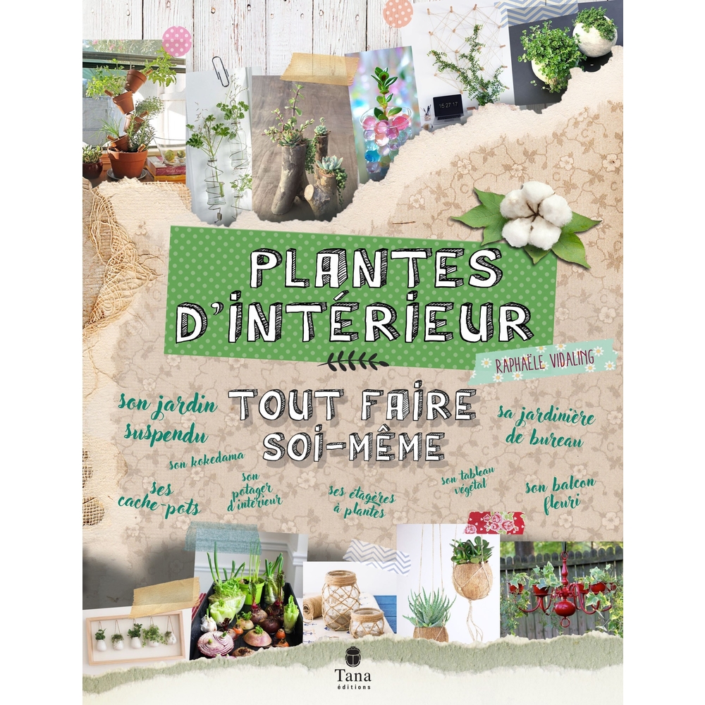 TOUT FAIRE SOI-MEME PLANTES-(883202)