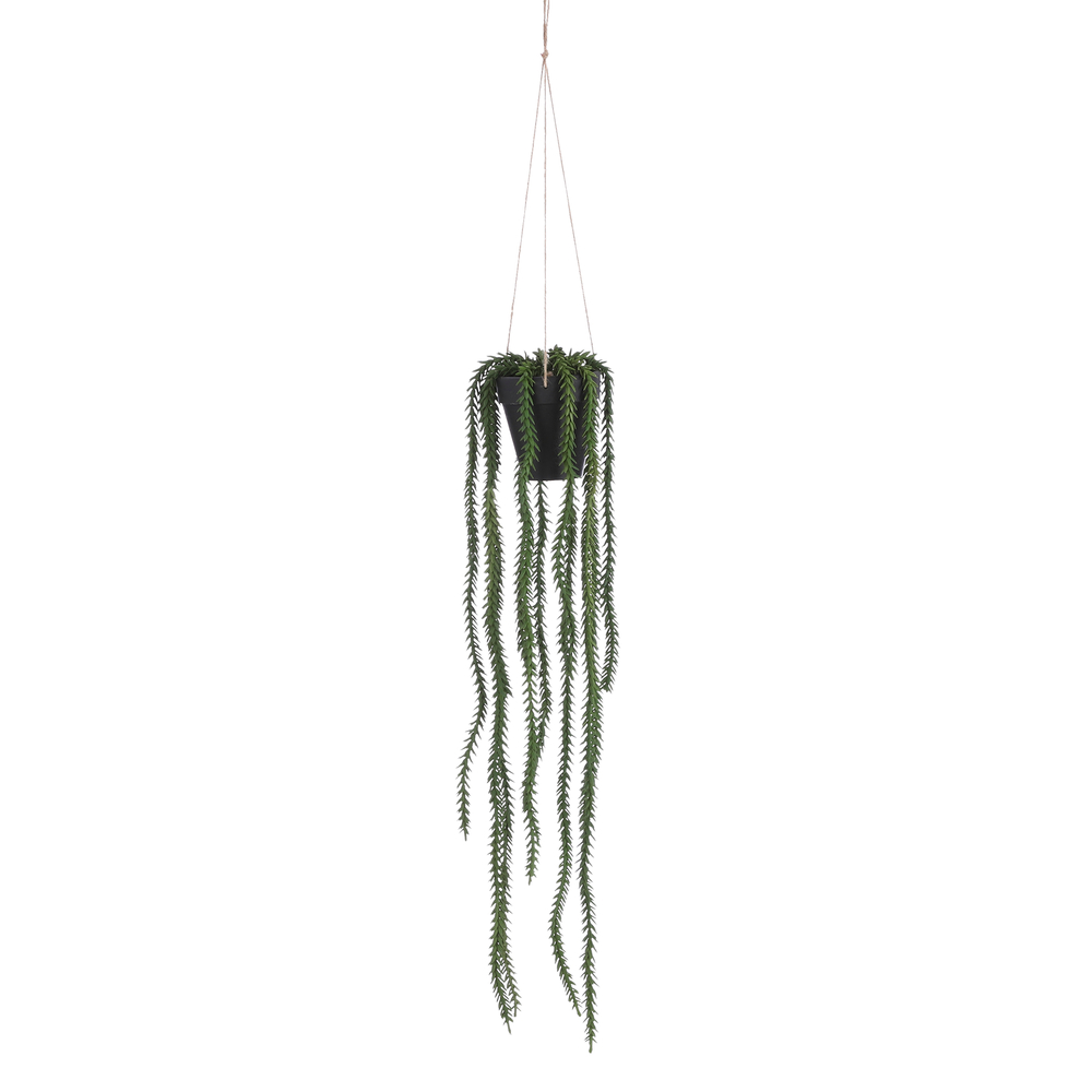 Plante artificielle suspendue 'Rhipsalis', coloris vert - H.62cm
