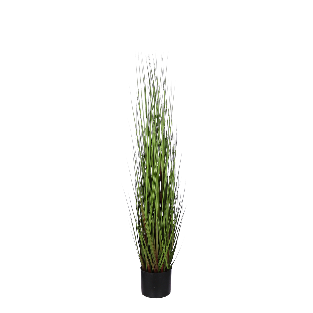 HERBE EN POT VRT H115XD35CM-(886614)
