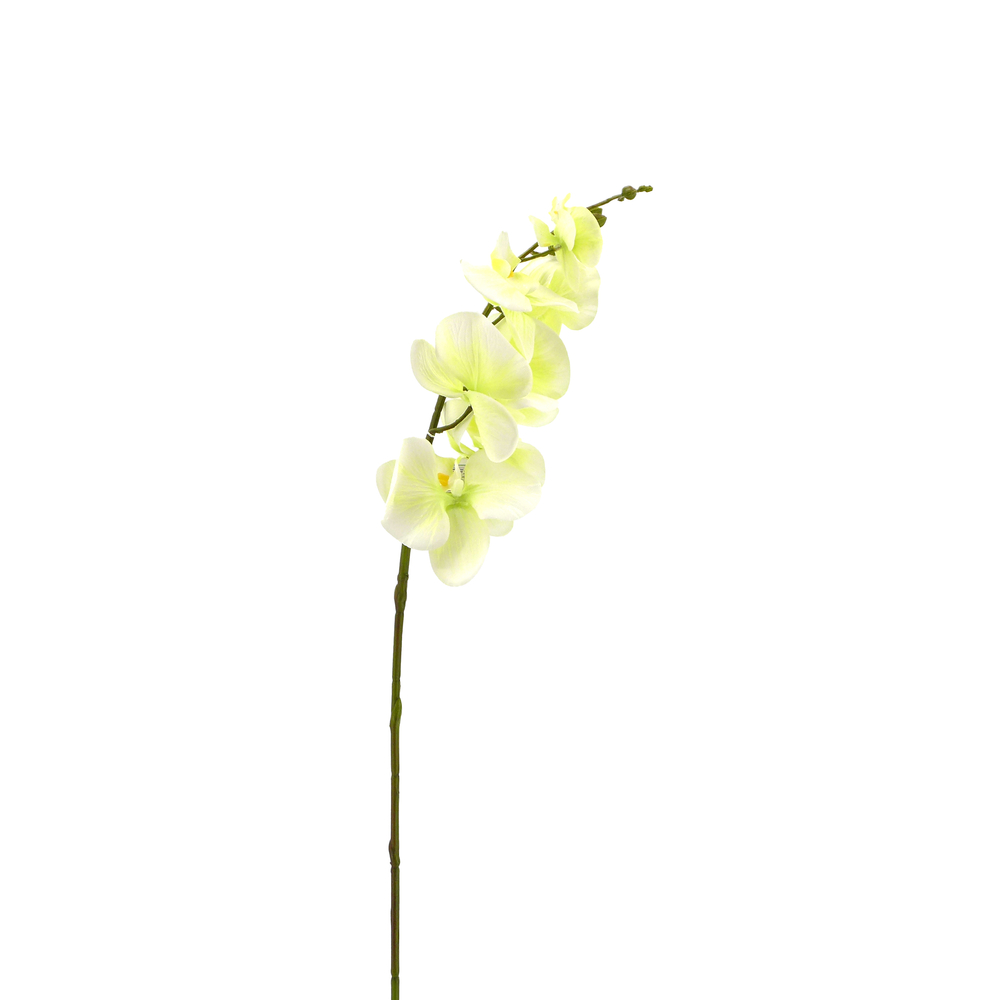 Fleur artificielle tige d'orchidée marbrée blanc H.87cm