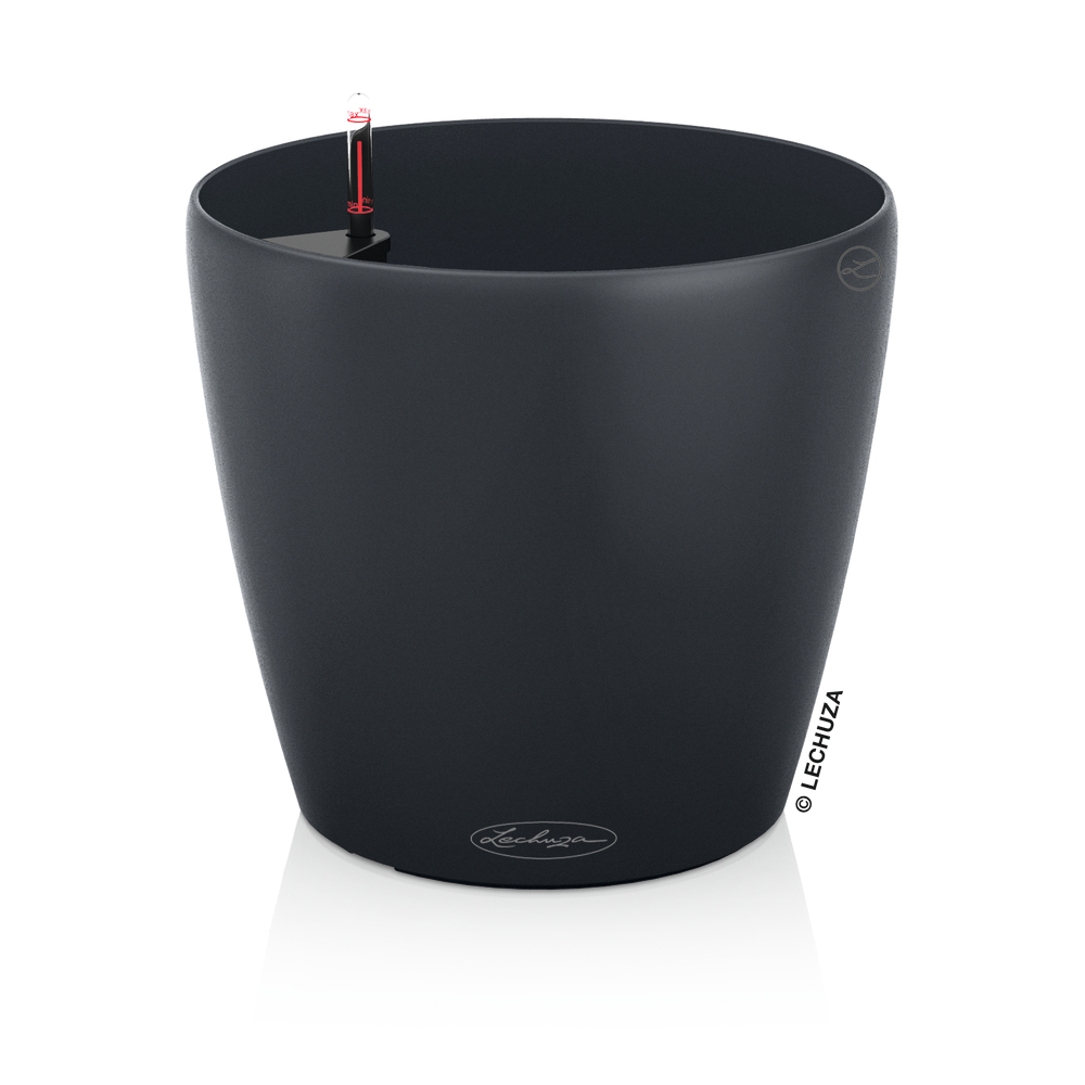 CLASSICO COLOR 70 GRIS ARDOISE-(906045)