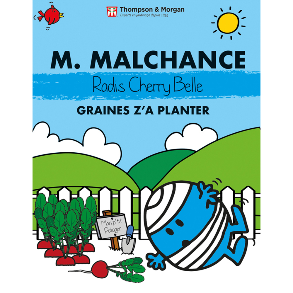 Graines De Légumes Radis M. Malchance