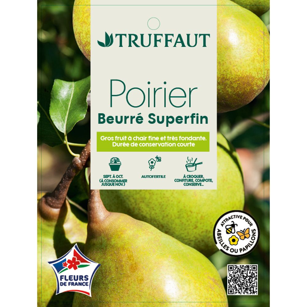 POIR.B.SUPERFIN GOB.PAP-(906201)