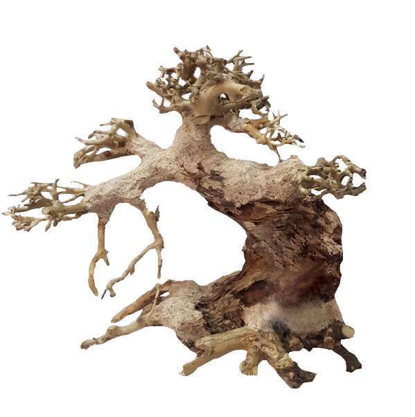 AQUAVIE BONSAI NATUR XS-(906256)