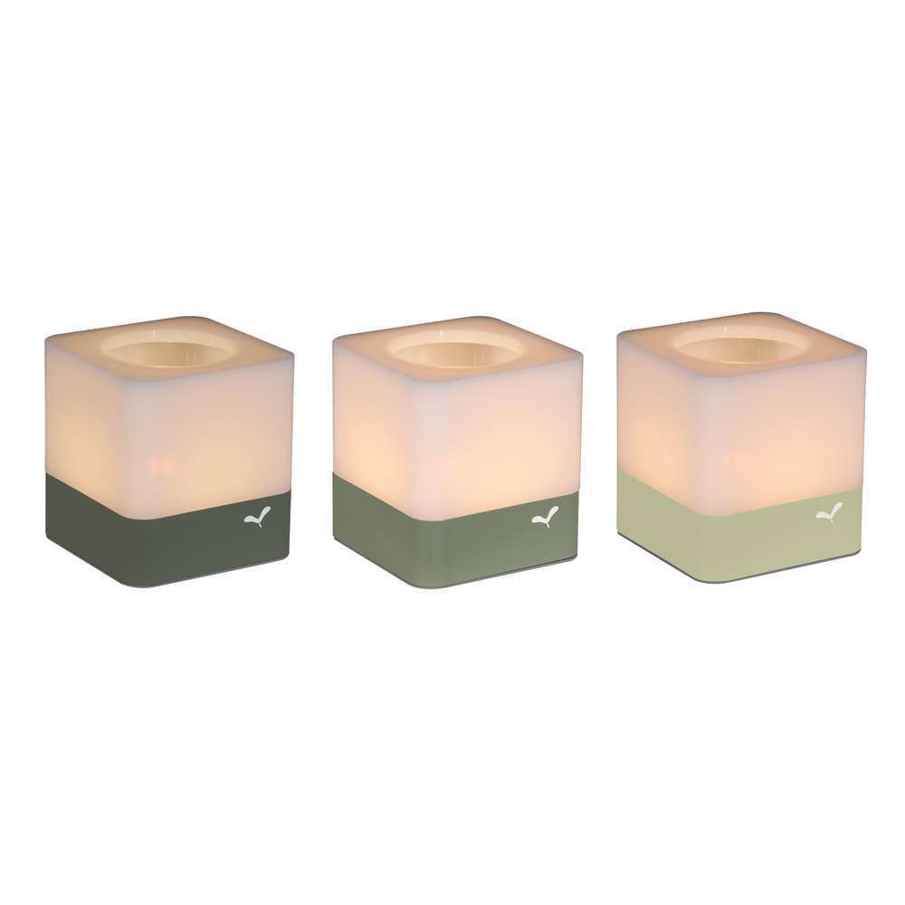 Photophores Cuub x3 Tilleul Cactus & Romarin