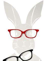 Tableau déco lapin lunettes amovibles 50x50cm
