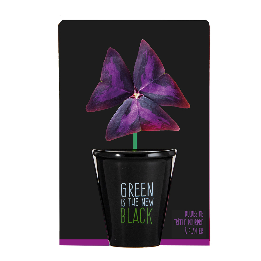 POT BLACK TREFLE POURPRE-(906739)