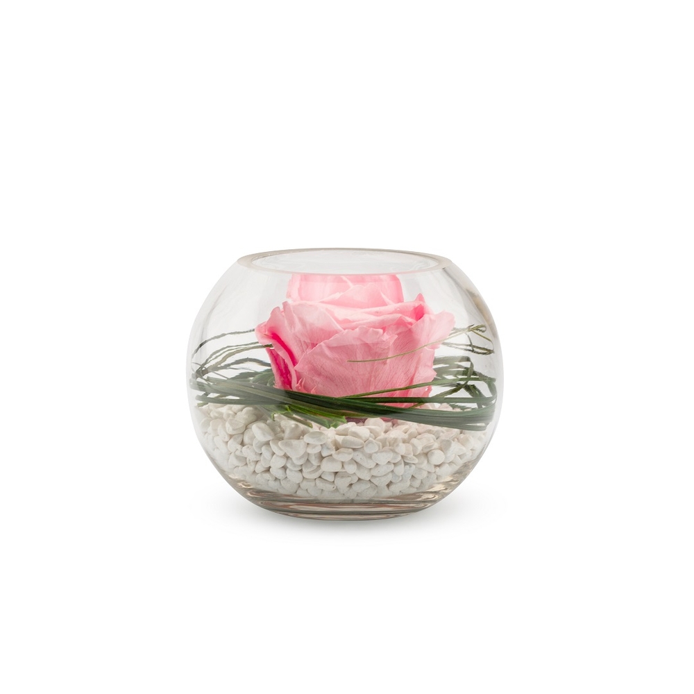 VERRINE VENEZIA 13 ROSE PASTEL-(906926)