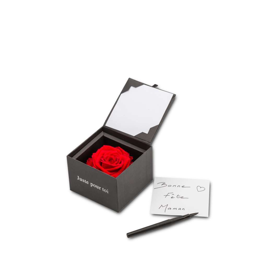COFFRET FLOWERCUBE L-(906927)