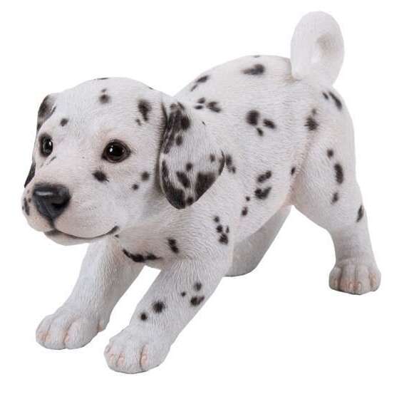 Statue Dalmatien Bebe A L Arret 21cm Riviera Truffaut Statue Dalmatien Bebe A L Arret 21cm Riviera Truffaut