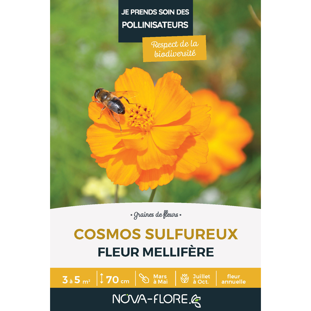 COSMOS SULFUREUX 3MÂ²-(908126)