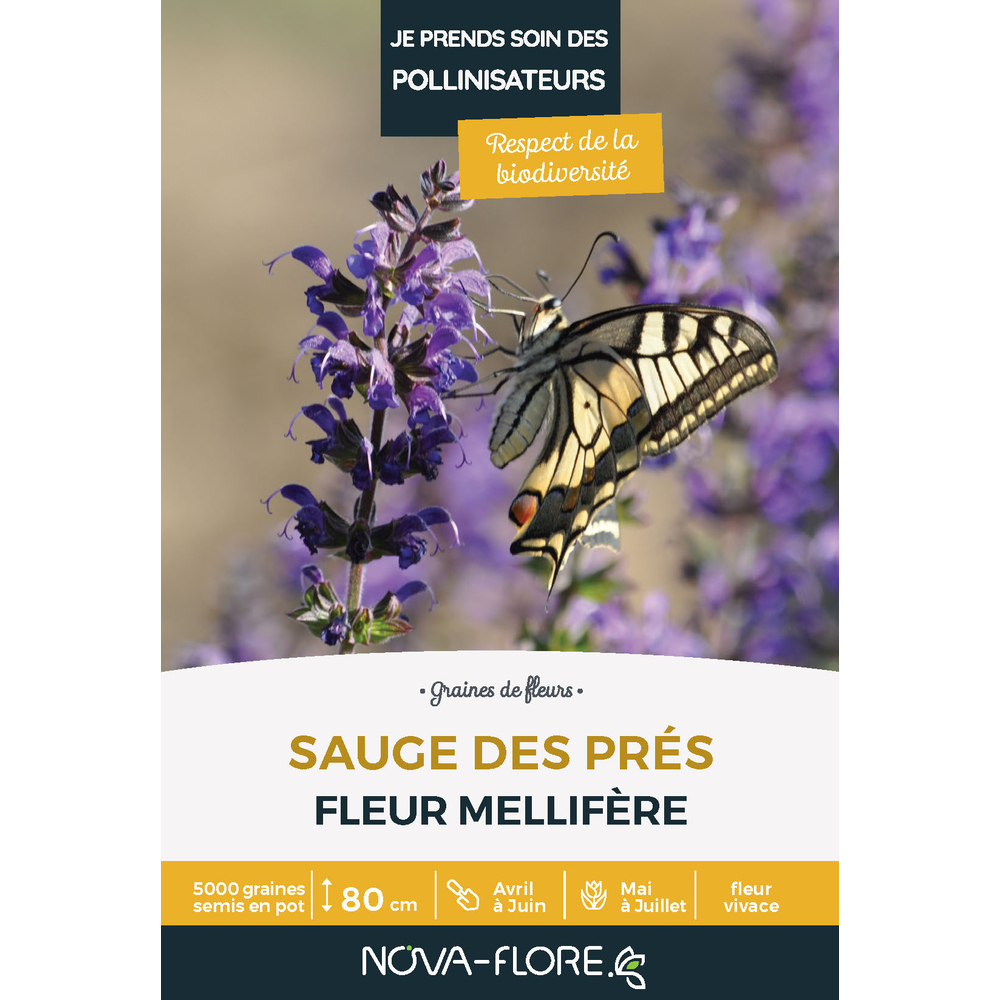 SAUGE DES PRES 3MÂ²-(908127)