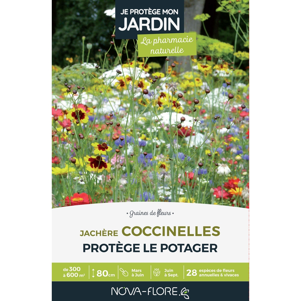 JACHERE COCCINELLES 300A600MÂ²-(908138)