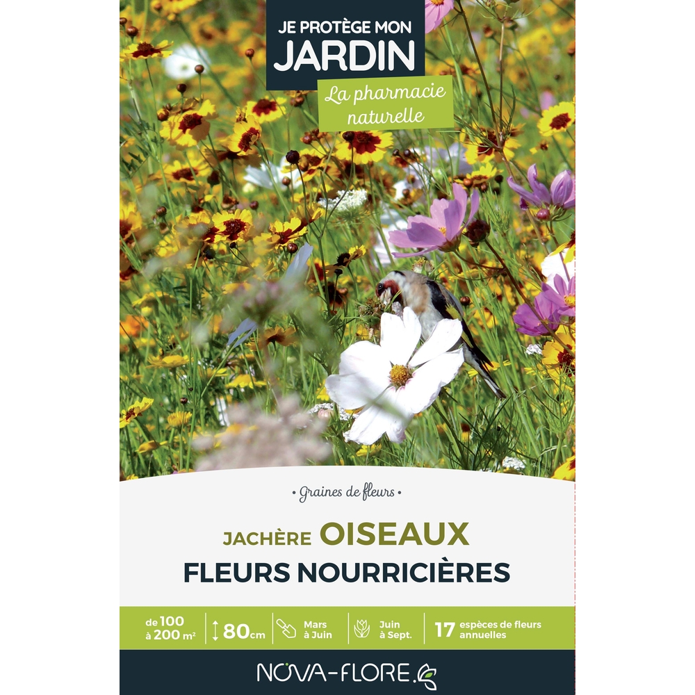 JACHERE OISEAUX-(908139)