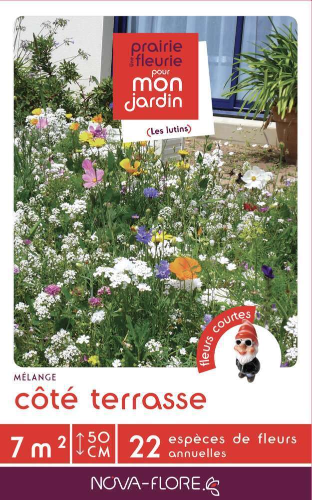 COTE TERRASSE 7MÂ²-(908148)