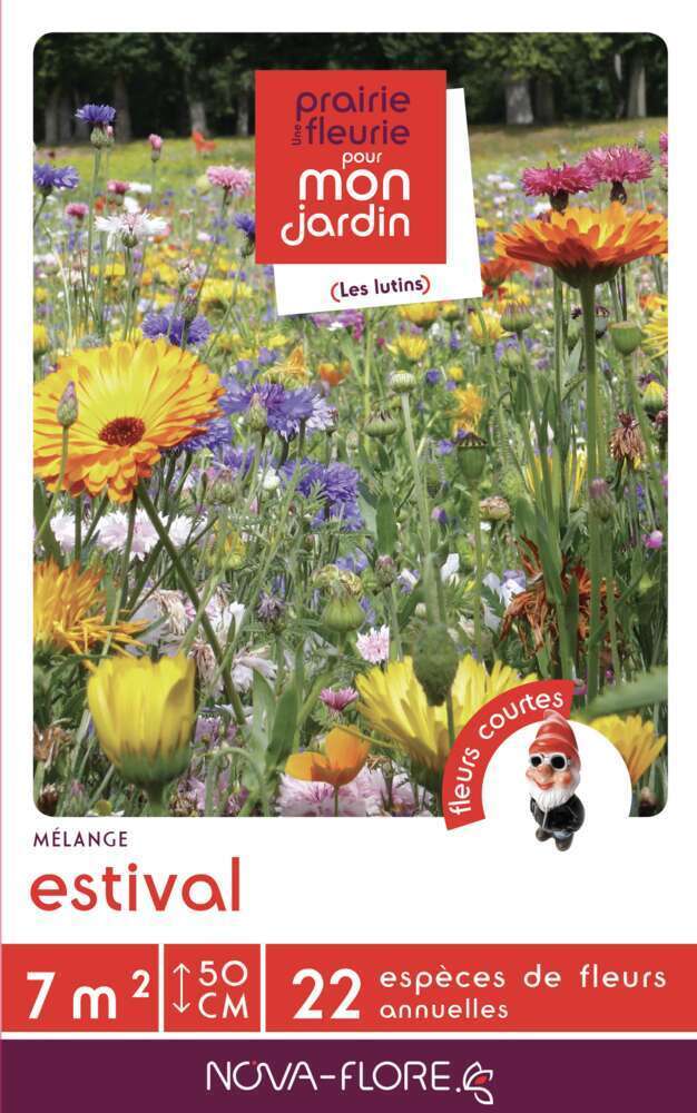 ESTIVAL 7MÂ²-(908149)