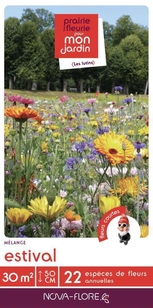 ESTIVAL 30MÂ²-(908150)