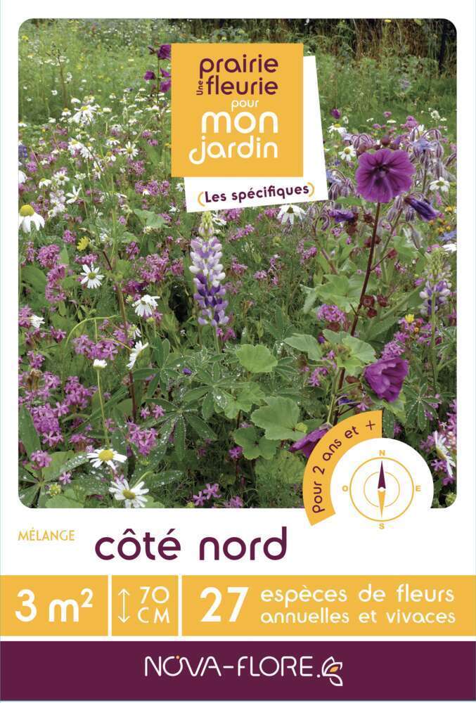 COTE NORD 3MÂ²-(908151)