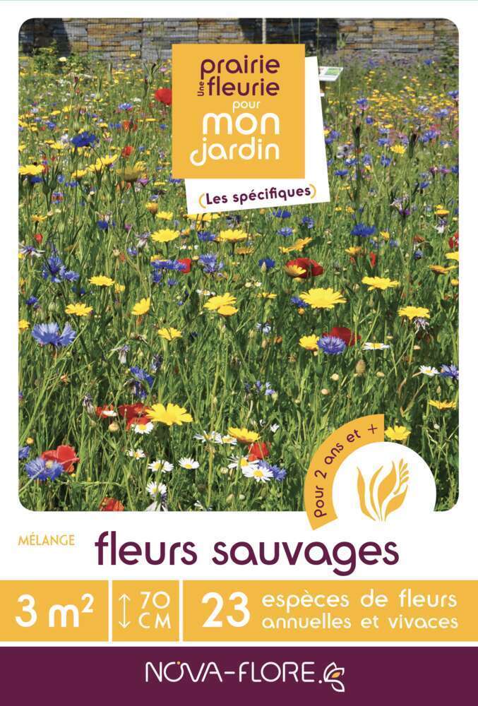 FLEURS SAUVAGES 3MÂ²-(908153)
