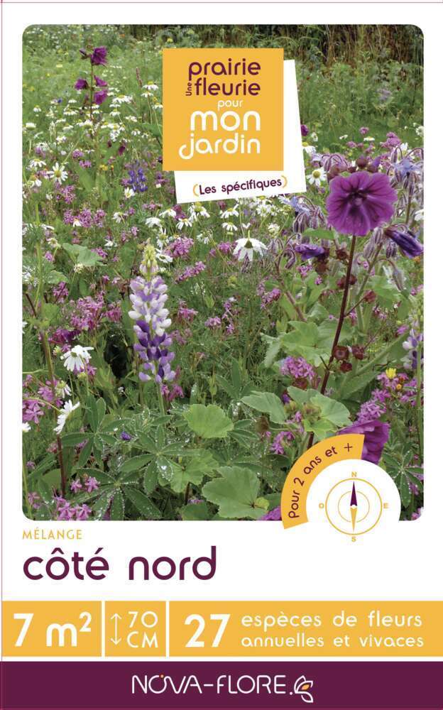 COTE NORD 7MÂ²-(908154)