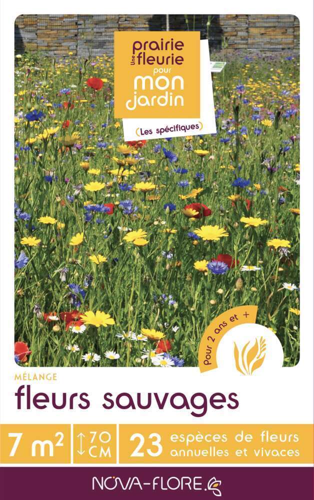 FLEURS SAUVAGES 7MÂ²-(908156)