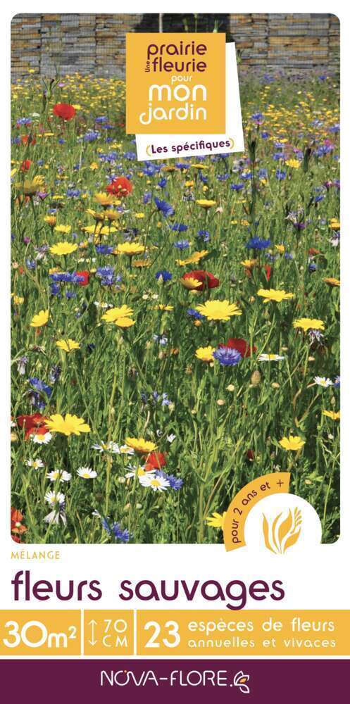 FLEURS SAUVAGES 30MÂ²-(908157)