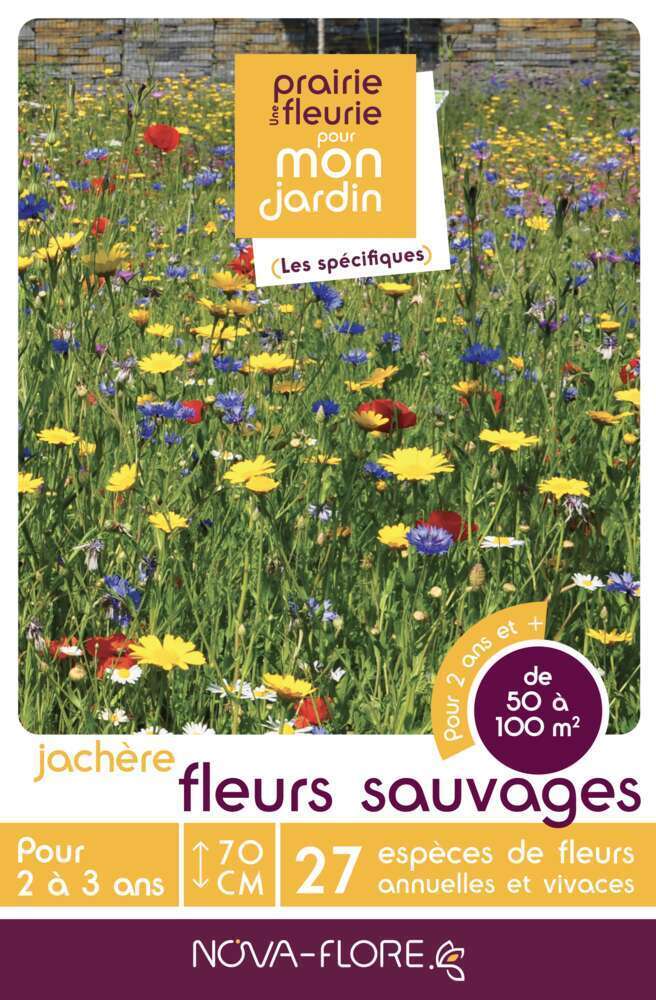 JACHERES FLEURS SAUVAGES-(908158)