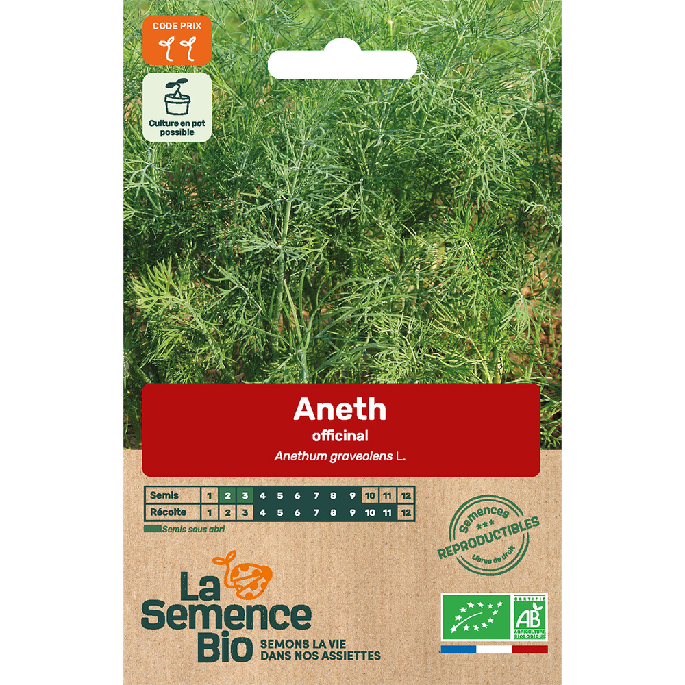 ANETH OFFICINALE BIO-(908187)