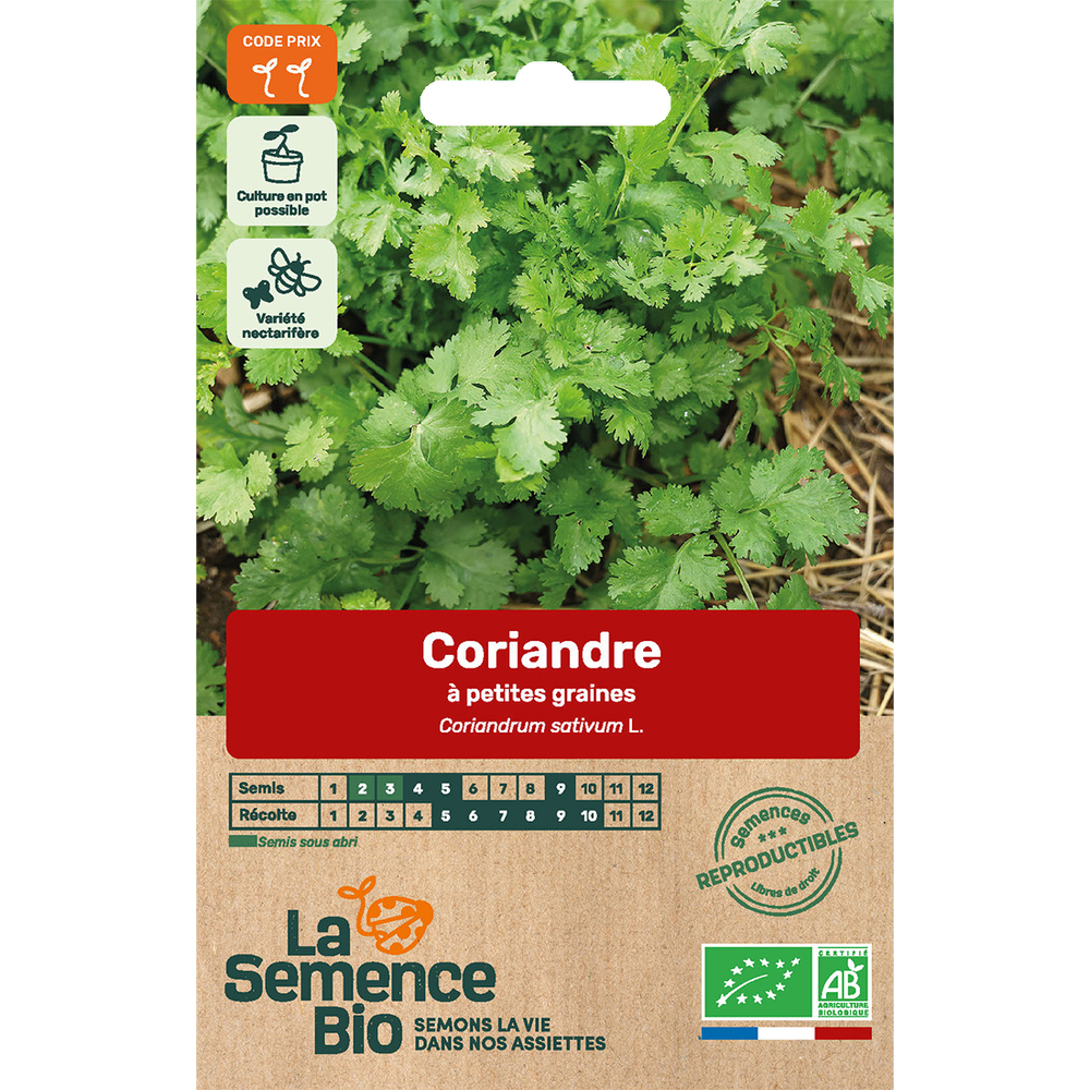 CORIANDRE A PET GRAINES BIO-(908191)