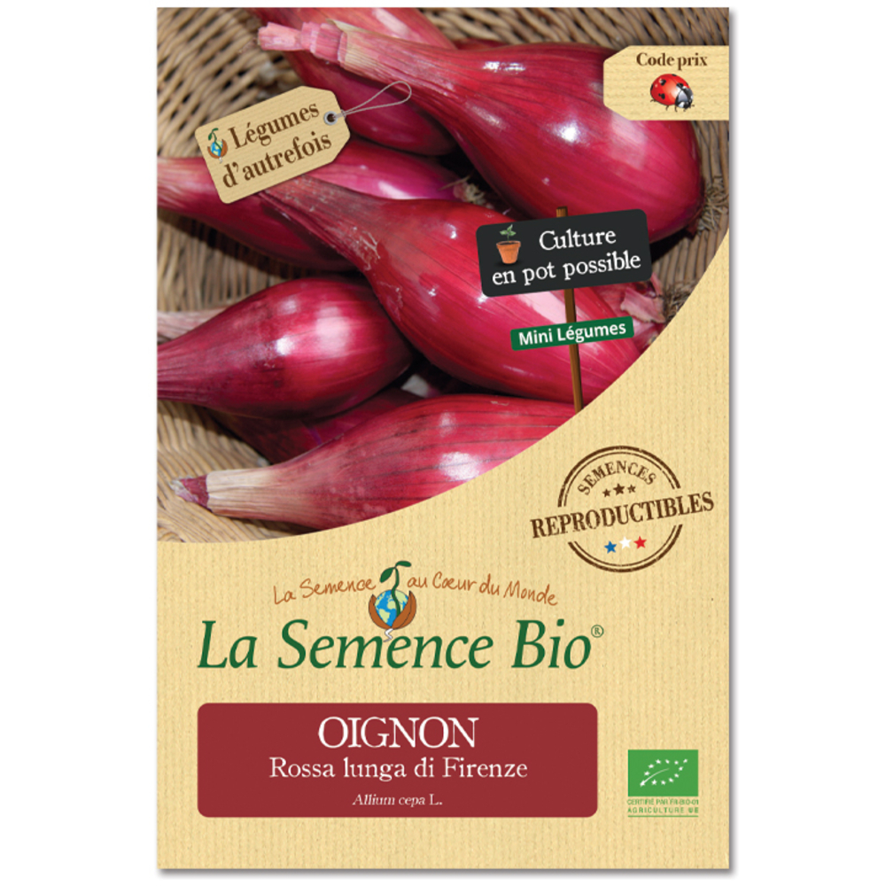 OIGNON ROSSA DI FIRENZE BIO-(908201)