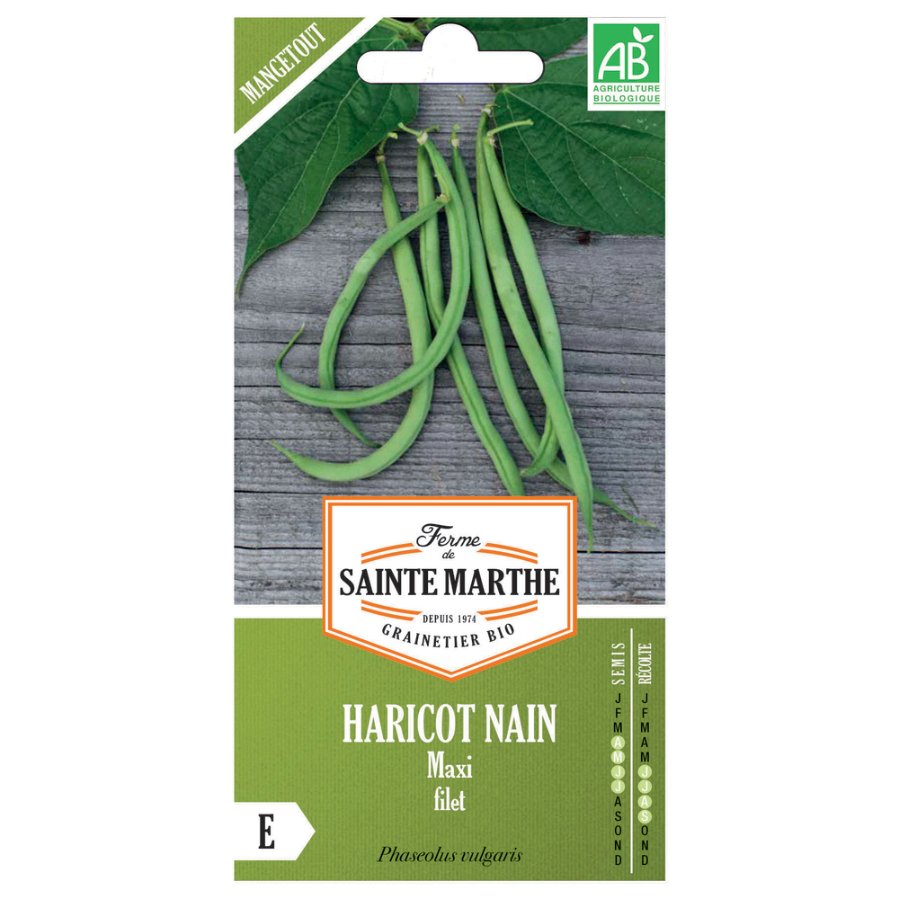 Graines de Haricot Nain Maxi Filet Bio Boite 80 g