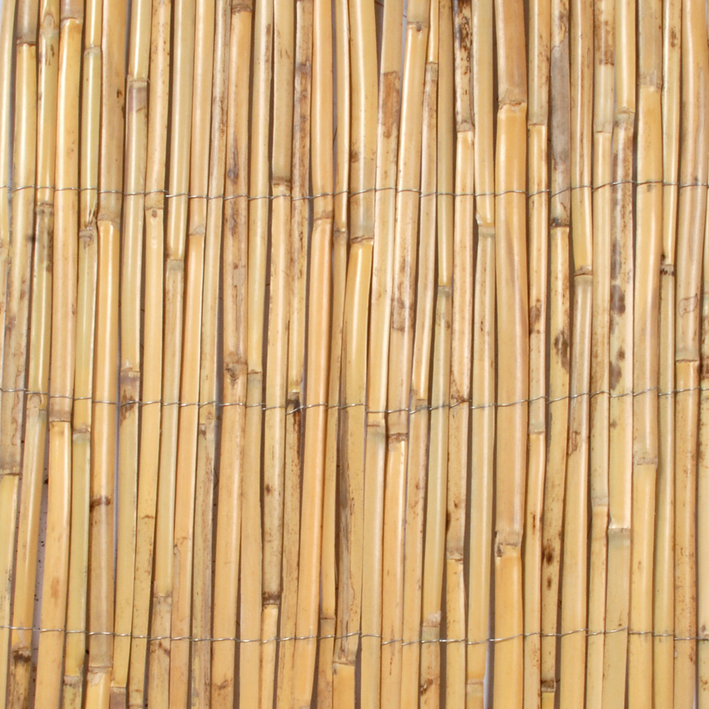 CANISSE ROSEAU FENDU 2X5M-(908609)