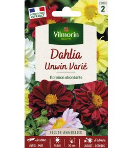 Dahlia Unwin Varié 1 g
