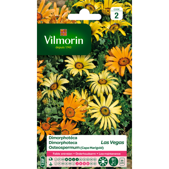 Dimorphotéca Las Vegas 1,5 g