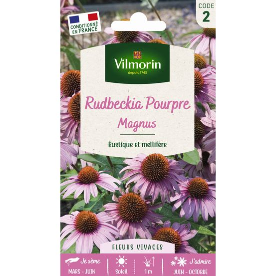 RUDBECKIA POURPRE MAGNUS VL-(909026)