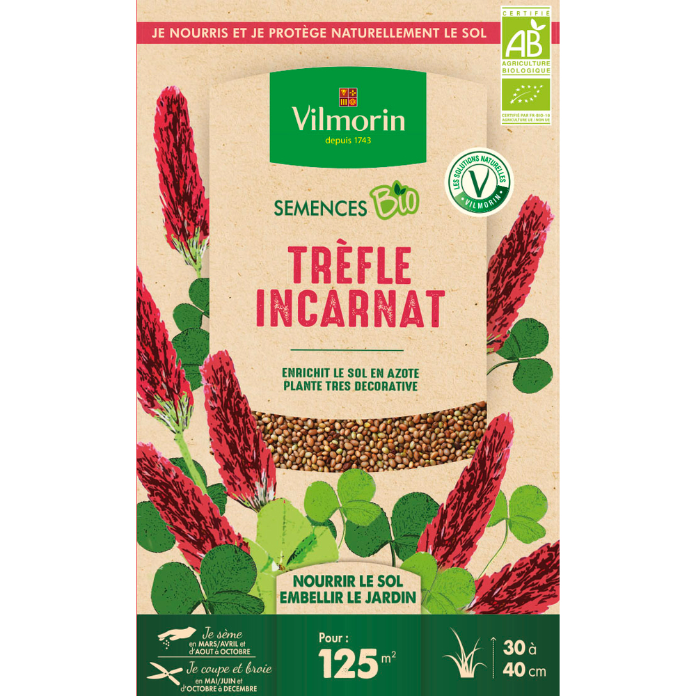 TREFLE INCARNAT BIO GD MOD VL-(909033)