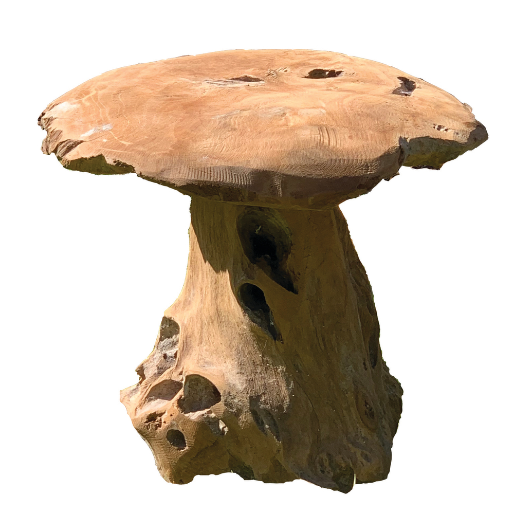 CHAMPIGNON TECK H30-(910480)