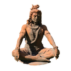 SHIVA ASSIS EFFET 1/2 ROUILLE-(910486)
