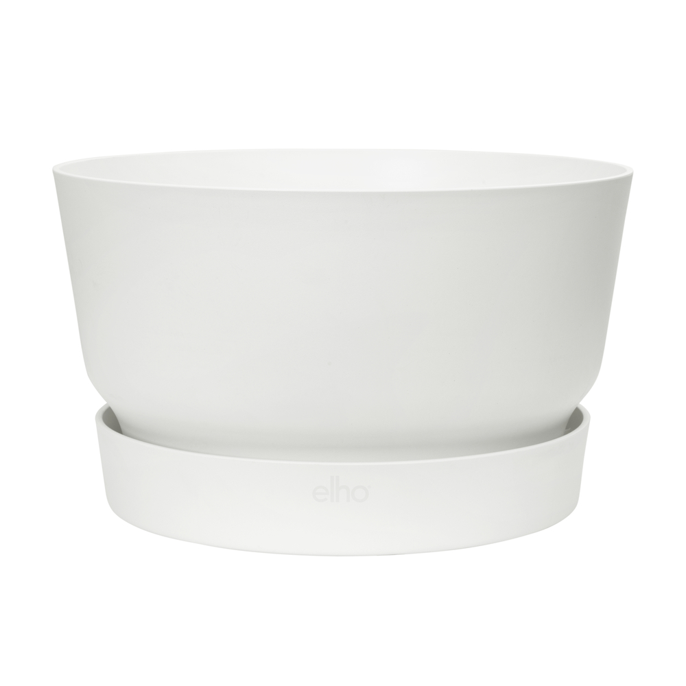 Coupe Greenville blanc Ã33 cm