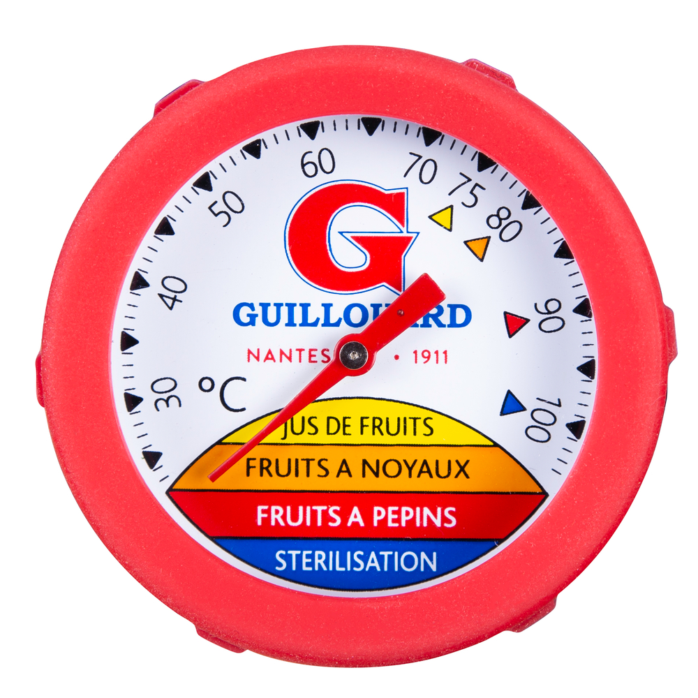 Thermomètre plongeur avec tige de 25 cm