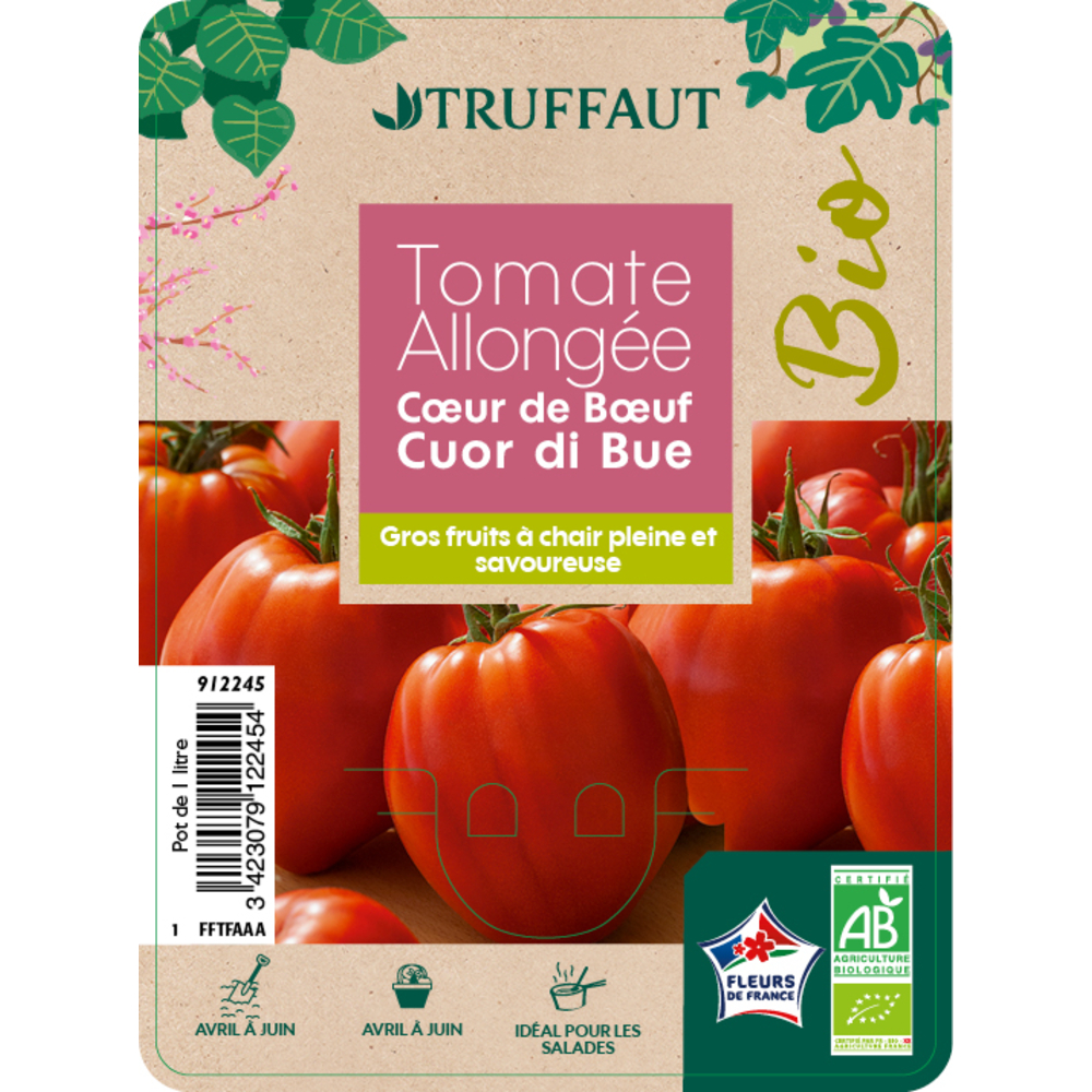 Plant de tomate 'Cœur de Boeuf' AB : pot de 1 Litre