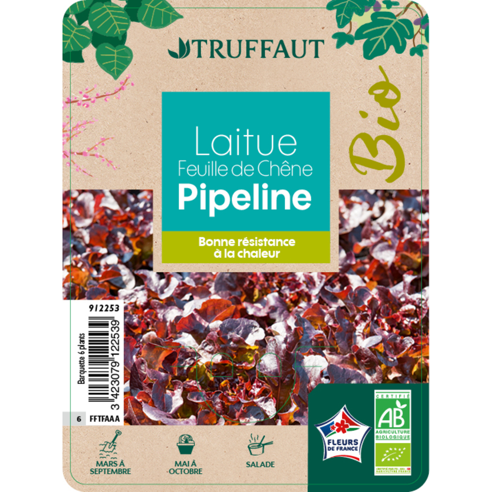 LAITUE FDC PIPELINE AB B6-(912253)