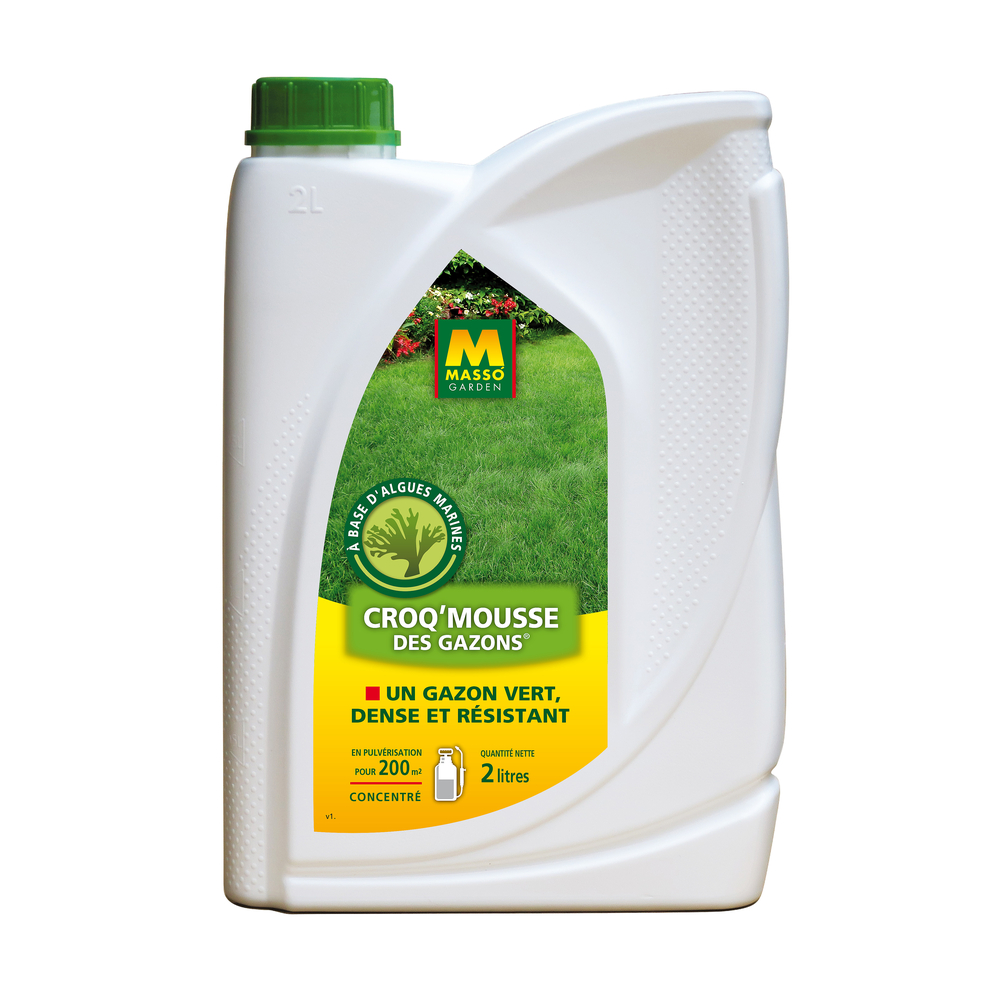 CROQMOUSSE 2L MASSO-(912441)