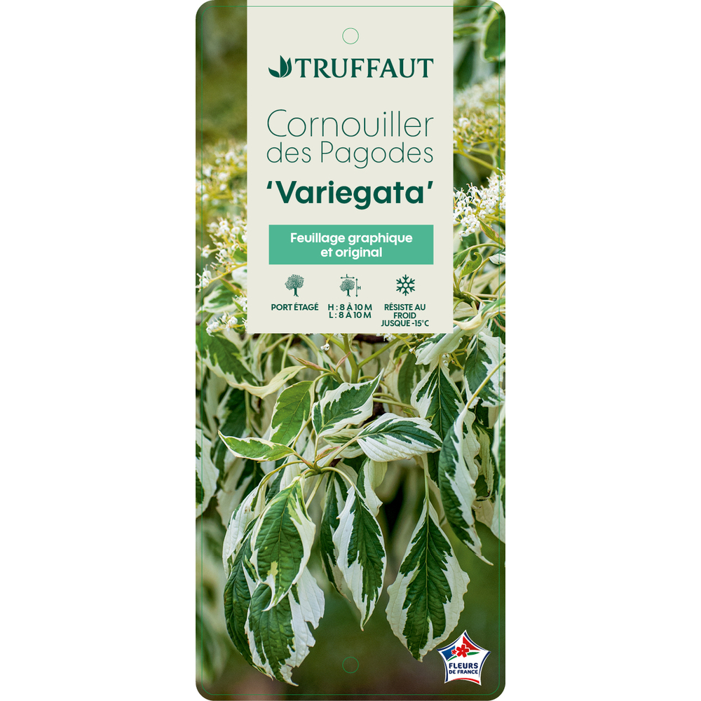 elfbar nachfüll pod läuft aus E-liquide Vaporean Anatolia FUU main image 1
