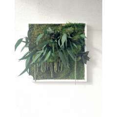 Tableau végétal stabilisé Janguru 35*35 cm