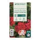 Géranium lierre double 'Toscana® Sunflair Red' Label Rouge : 6 plants